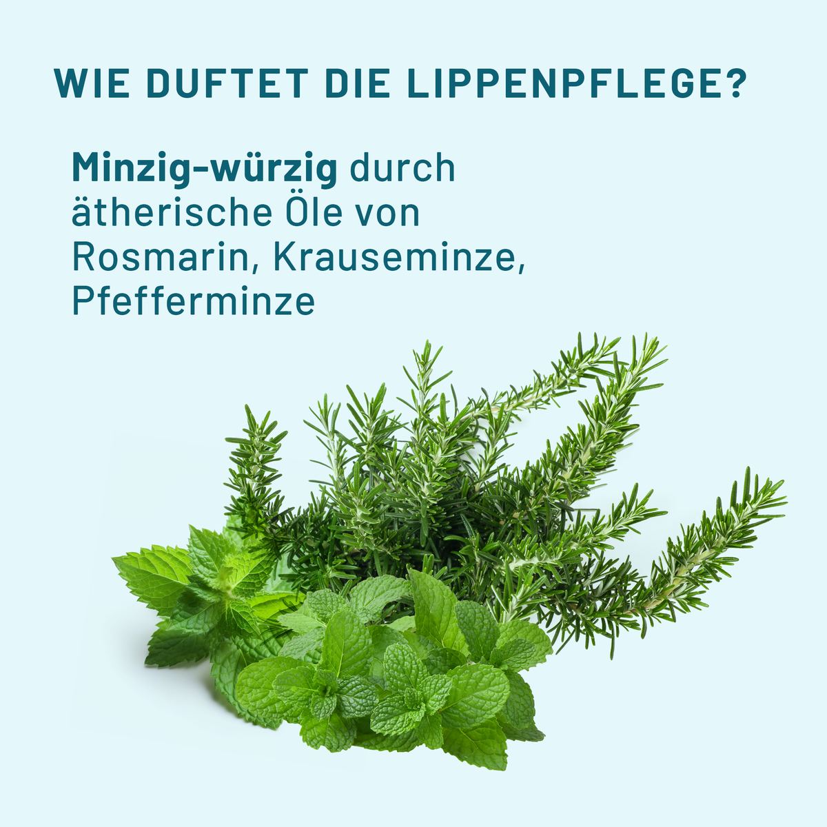 FLÄSH´N CÄRE FÄCE BUNDLE