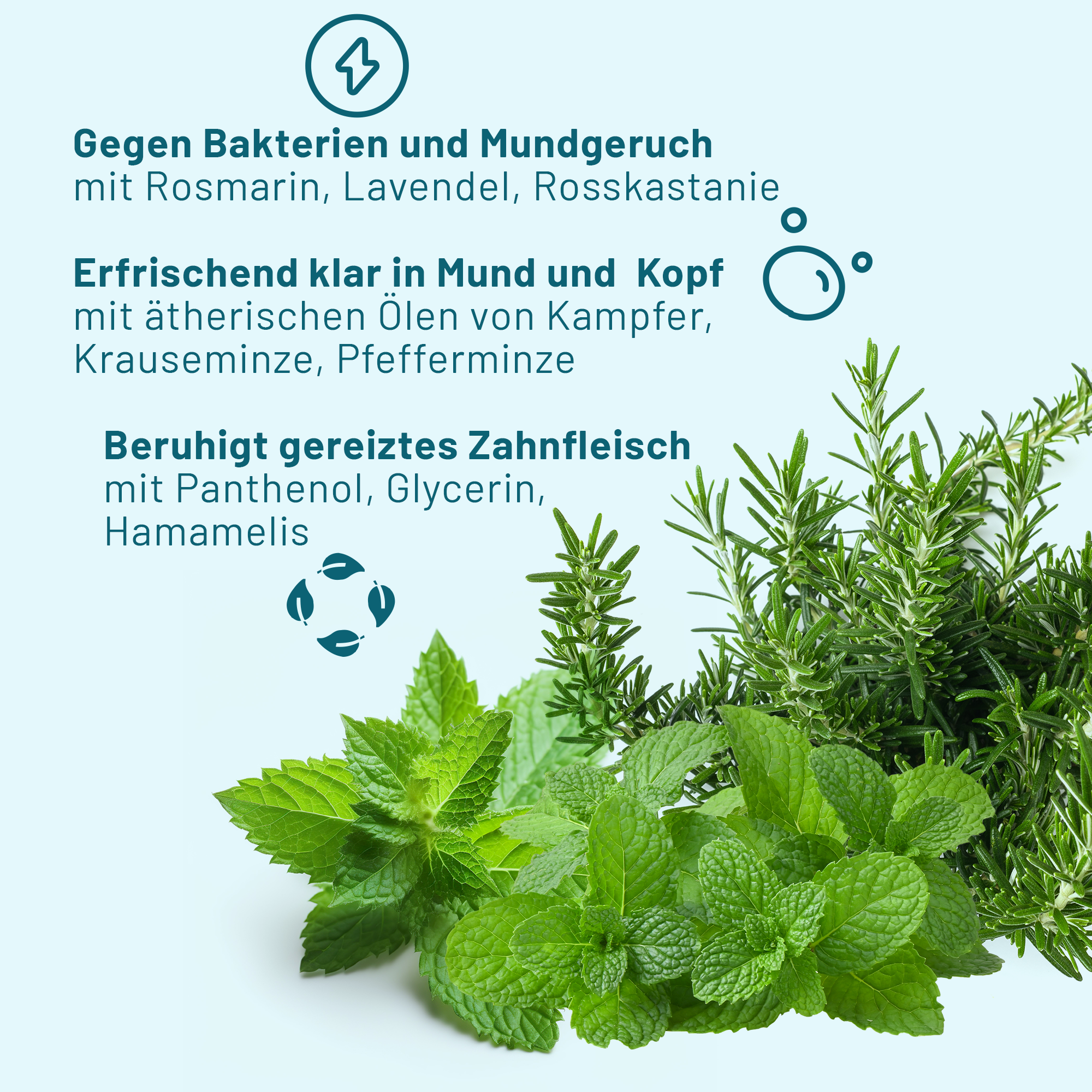 Infotafel mit Schrift: auf hellgrünem Hintergrund sind die Blätter von Minze und Rosmarin platziert. Darüber sind die wichtigsten Produktinfos des bluedenta cäre Mundsprays aufgelistet.