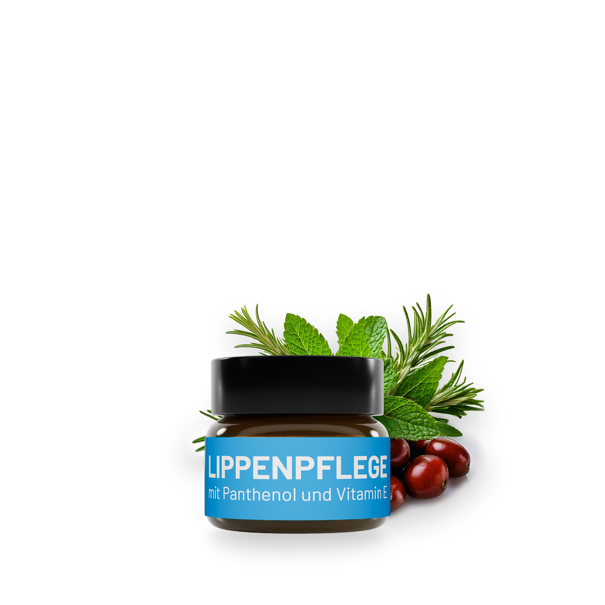 Auf weissem Hintergrund steht ein Glastiegel bluedenta cäre Lippenpflege, dahinter grüne Blätter von Minze, Rosmarin und Rosskastanie als Symbol für die enthaltenen Heilkräuter.