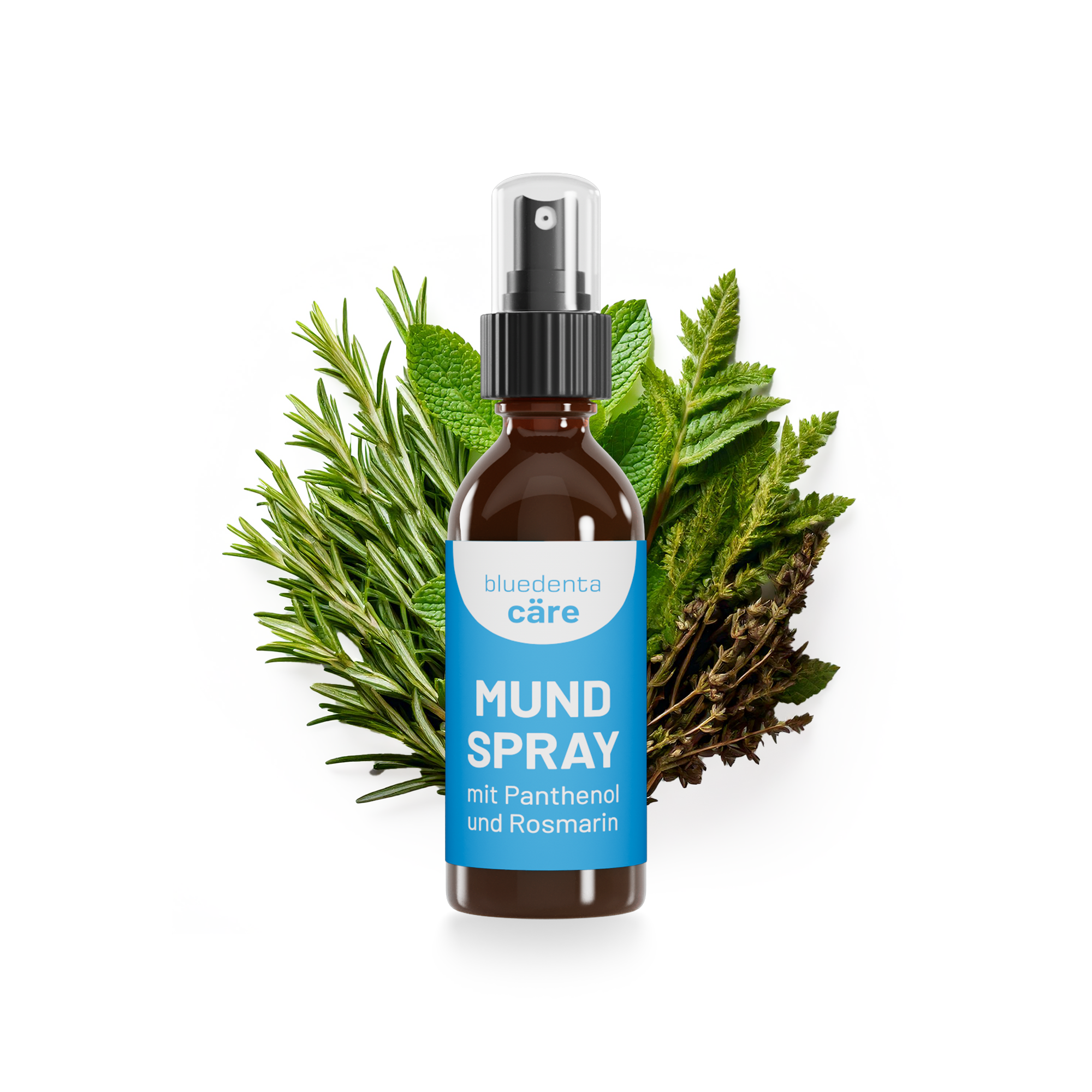 Auf weissem Hintergrund steht eine Sprühflasche bluedenta cäre Mundspray, dahinter grüne Blätter von Minze, Rosmarin und Thymian als Symbol für die enthaltenen Heilkräuter.