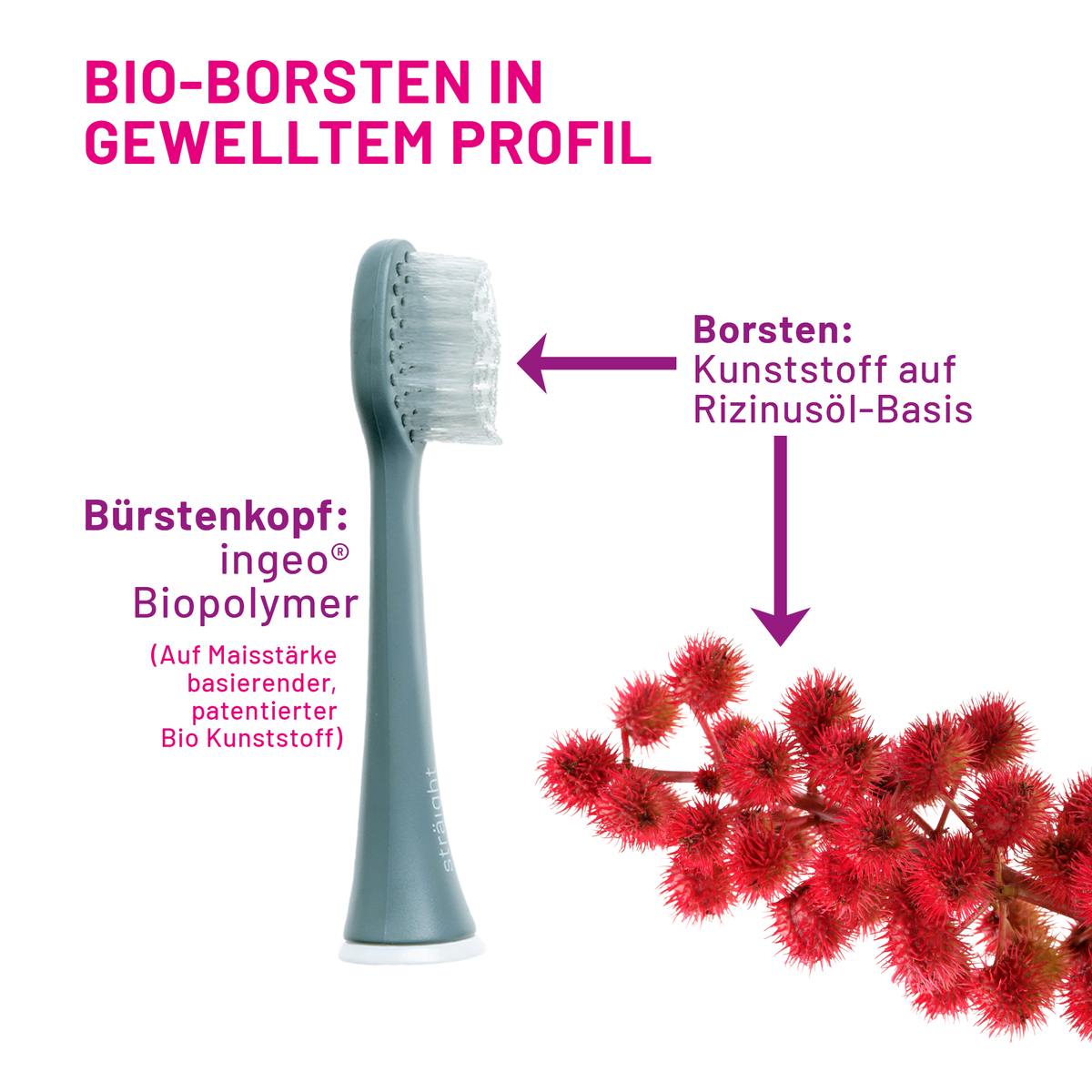 1 grauer sträight Bürstenkopf in der Seitenansicht, so dass die Wellenform der Borsten erkennbar ist. Borsten und Korpus  bestehen aus Bio Kunststoff auf Maisstärke- und Rizinusölbasis. Eine Darstellung von Rizinusfrüchten illustriert dies als Symbolbild.