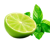 Eine halbierte Limette neben grünen Minzblättern als Verbildlichung der fläsh Geschmackssorte. 