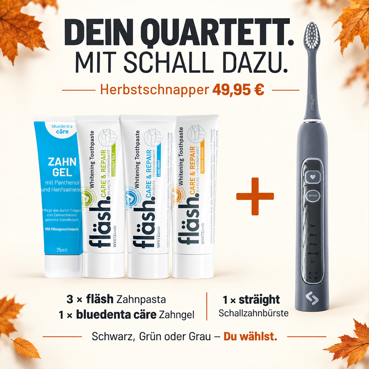 HERBSTSCHNAPPER