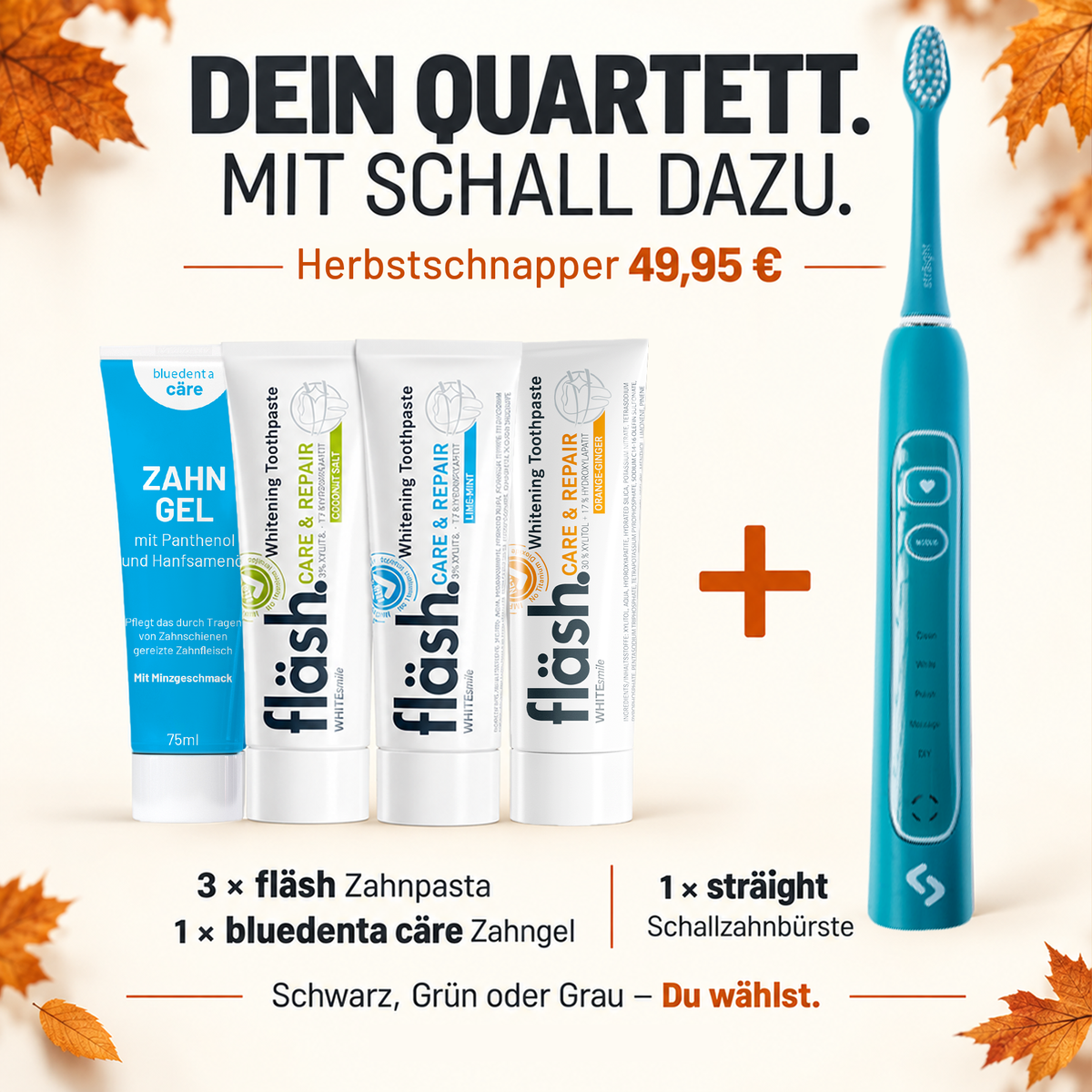 HERBSTSCHNAPPER