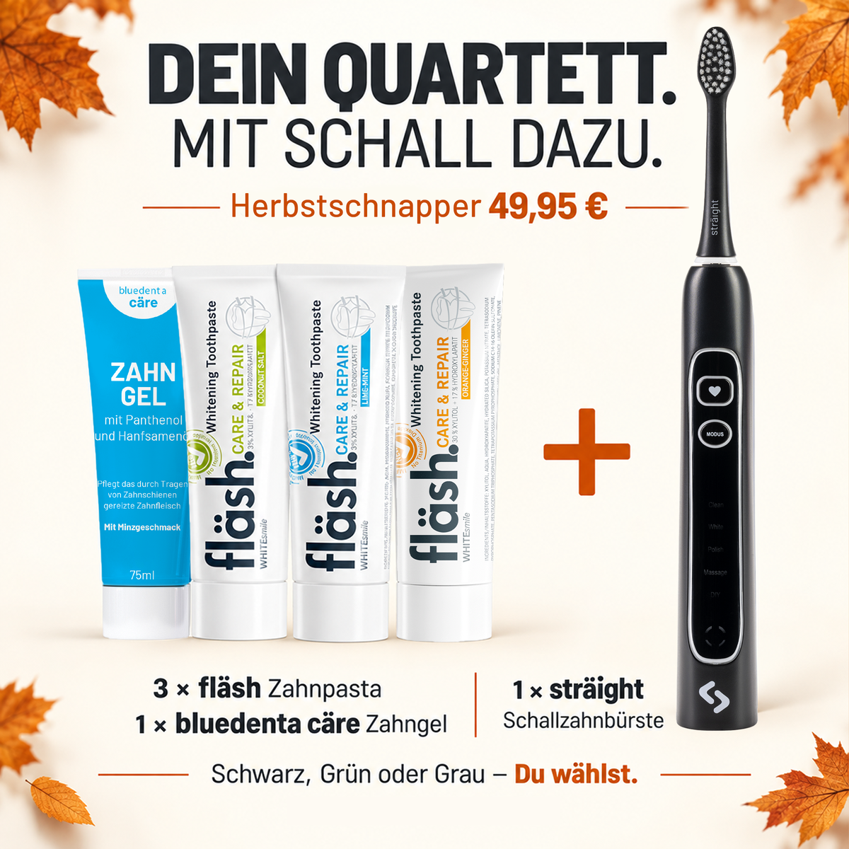 HERBSTSCHNAPPER