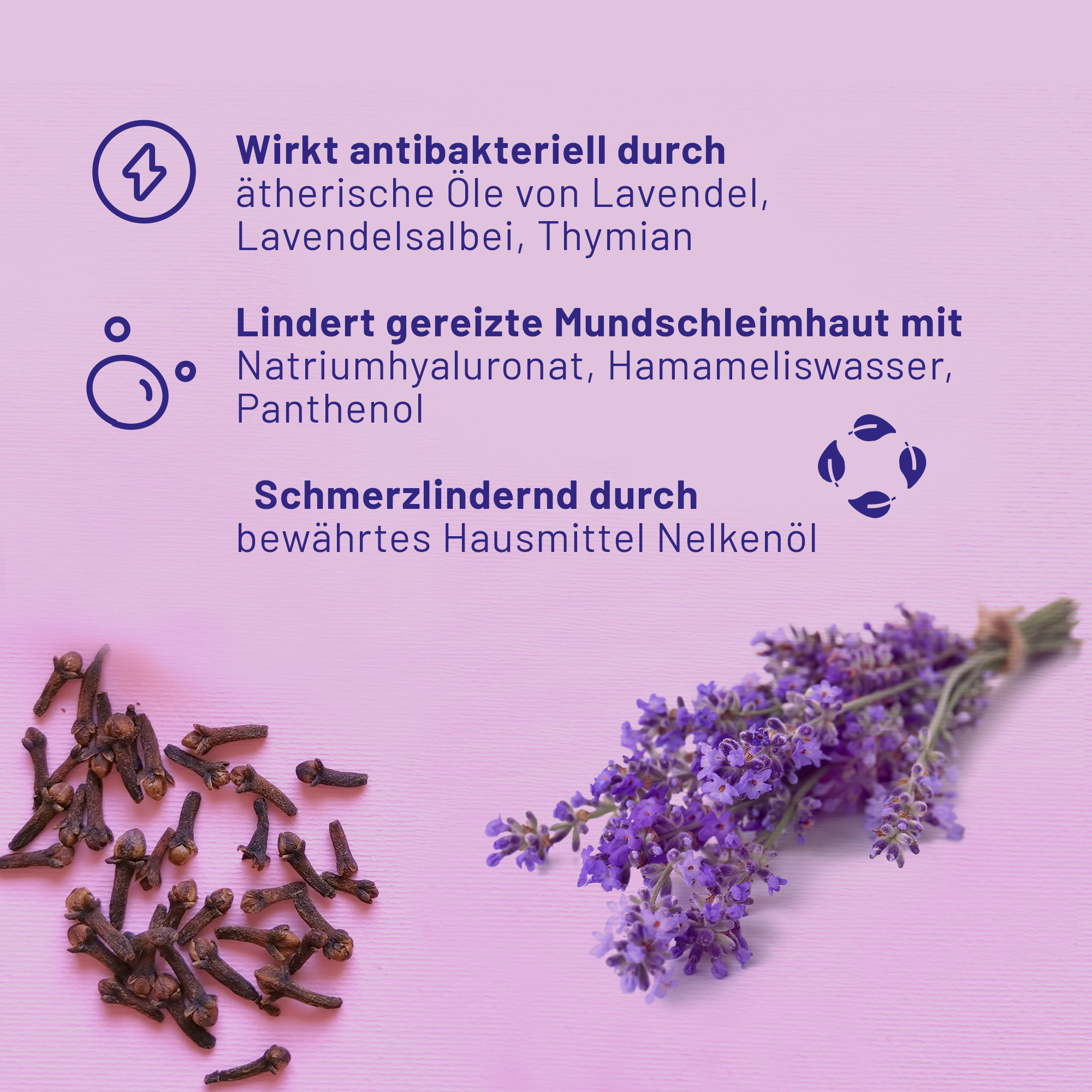 Infotafel mit Schrift: auf rosa Hintergrund sind Nelkenkörner und ein kleiner Strauß Lavendelblüten  platziert. Darüber sind die wichtigsten Produktinfos der bluedenta cäre Mundspülung aufgelistet.