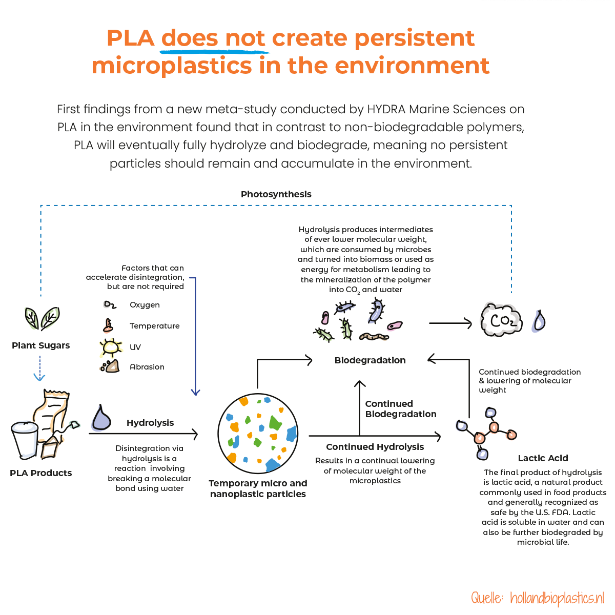 Englischsprachige Grafik, die mit gezeichneten Motiven zeigt, wie der Bio Kunststoff PLA entsteht. Quelle: hollandbioplastics.nl